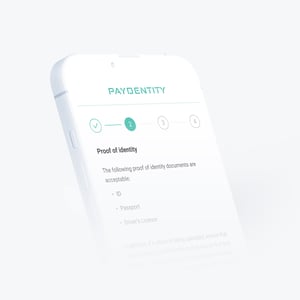 Paydentity-Final-UI-Background